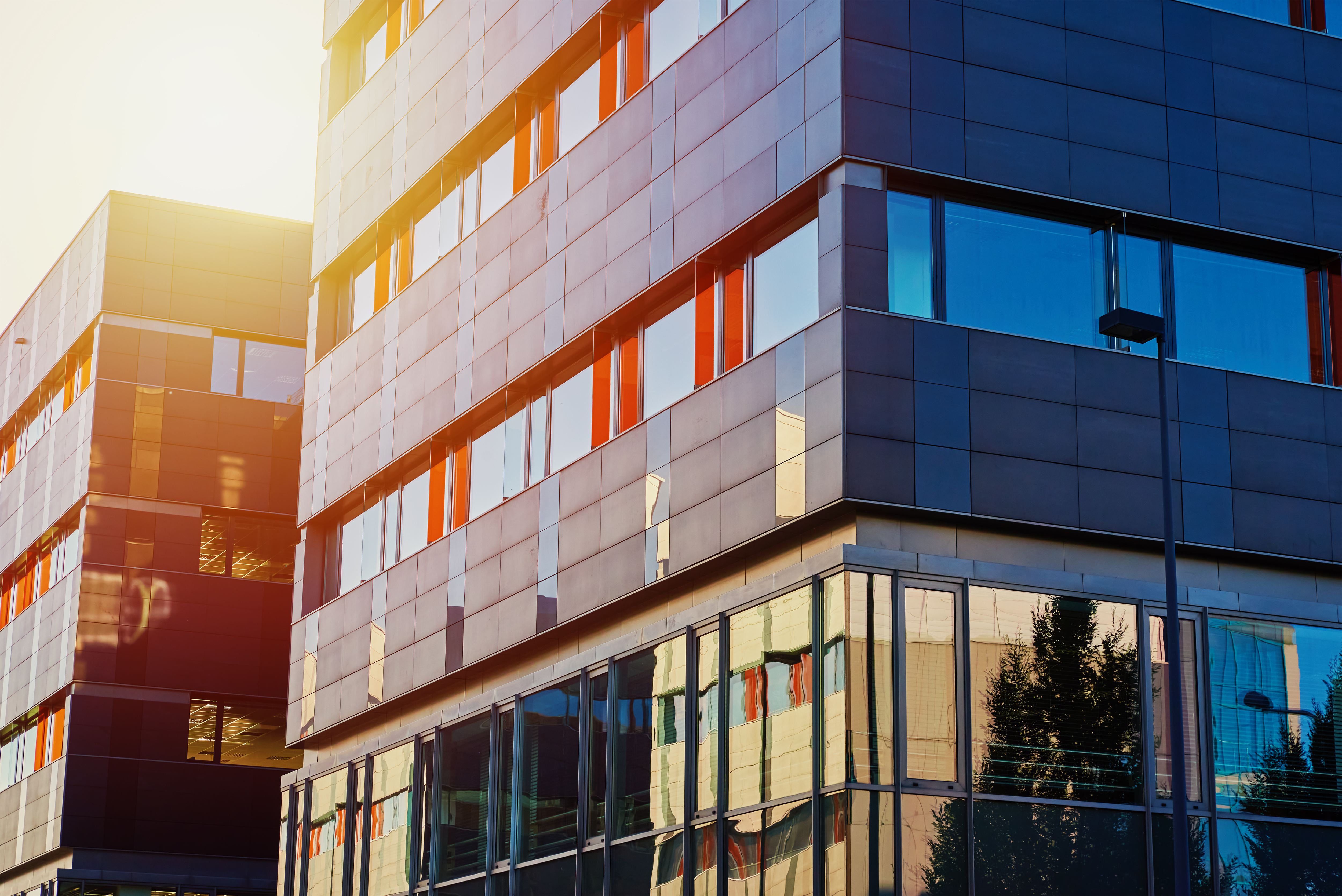 Modern office building with green trees